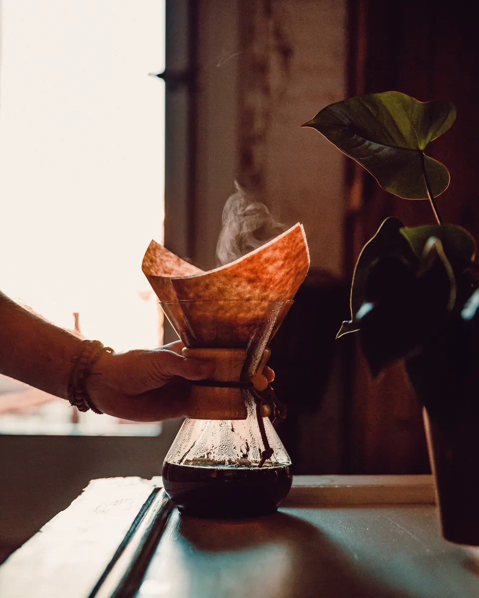 Hand holding steaming pour-over coffee maker beside a houseplant
