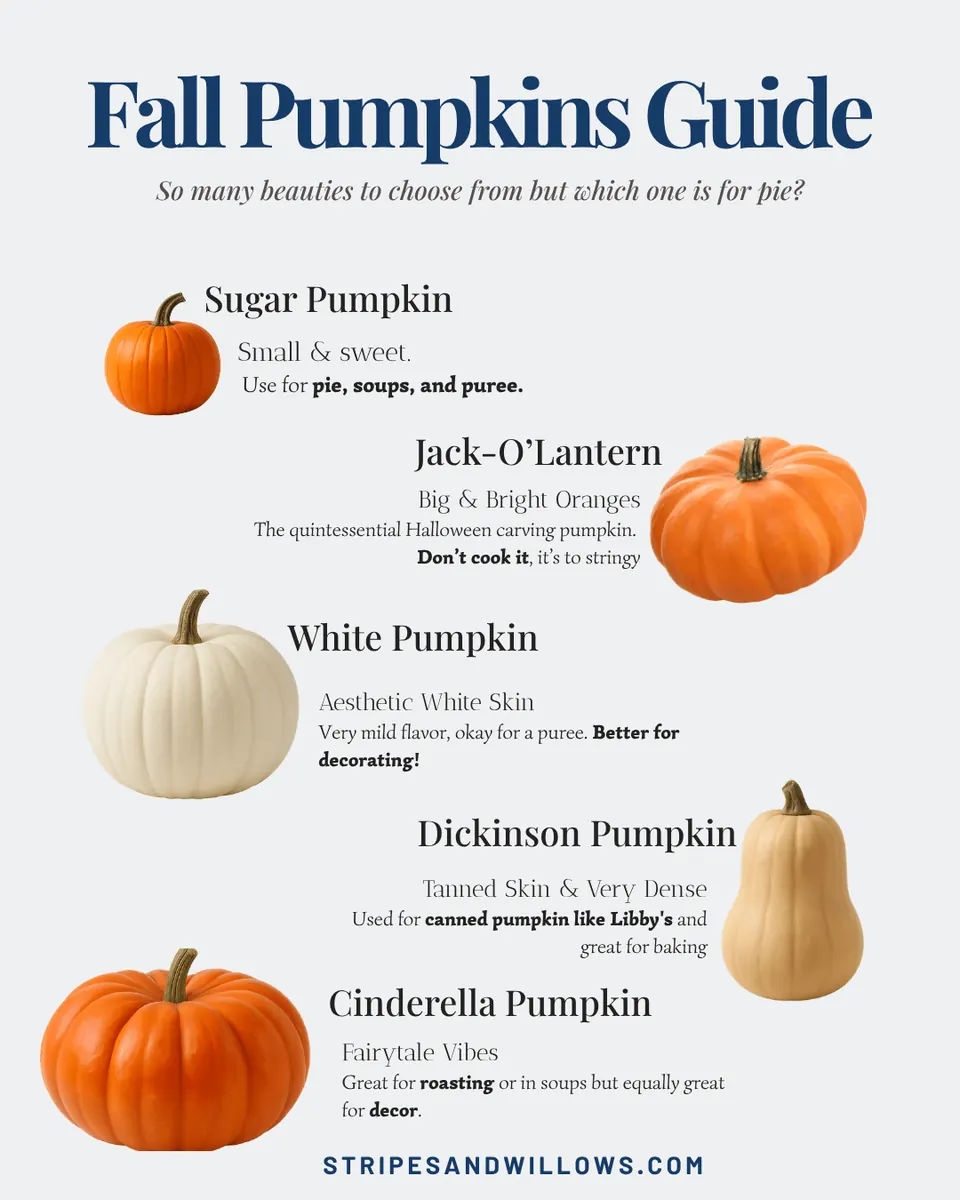 Sugar Pumpkin or Carving Pumpkin