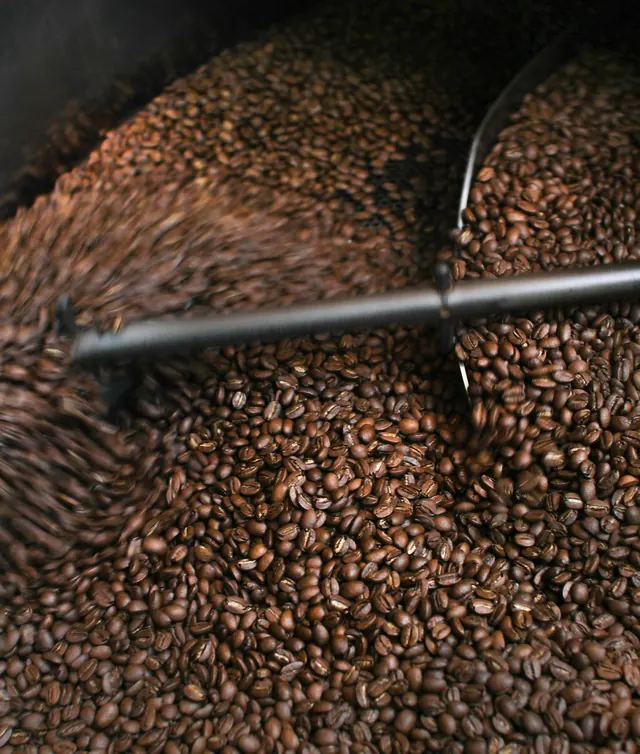 Best Coffee Beans to Buy for a Flavorful Morning Brew