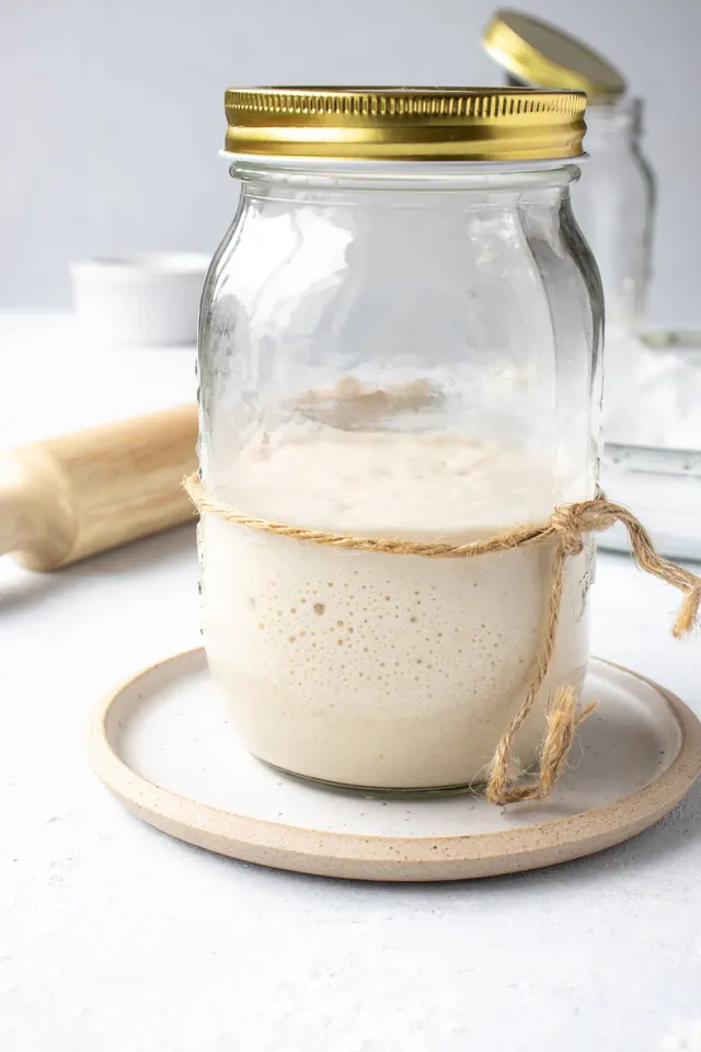 Homemade Sourdough Starter