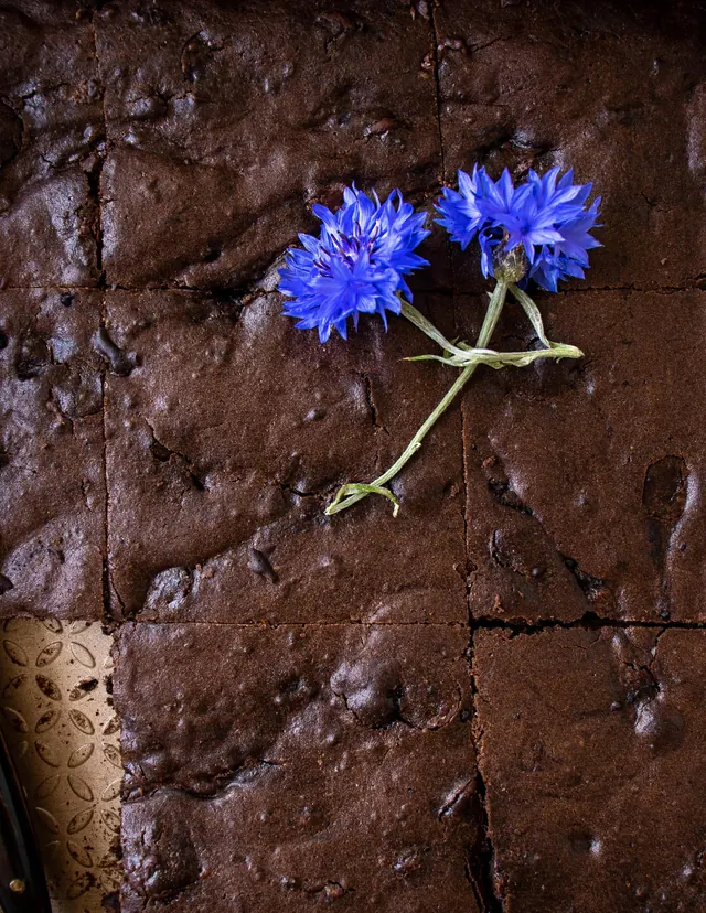 Sourdough Discard Brownies