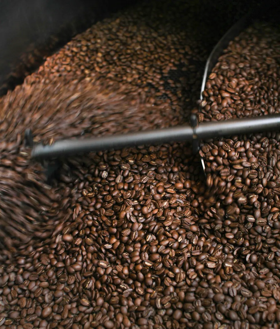 Dark roasted coffee beans tumbling in a commercial roaster