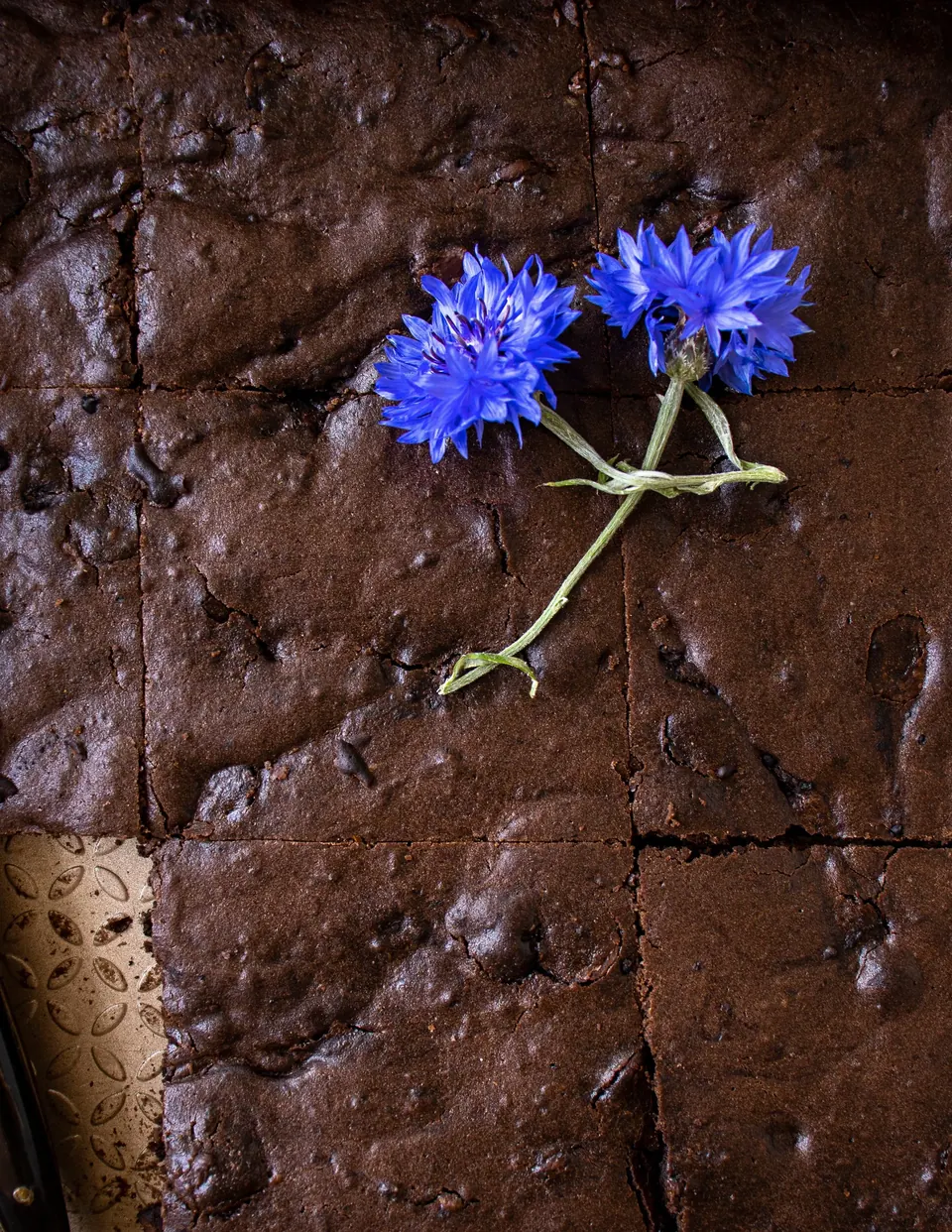 sourdough brownie recipe with chocolate