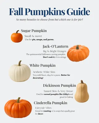 Which one? Sugar Pumpkin or Carving Pumpkin