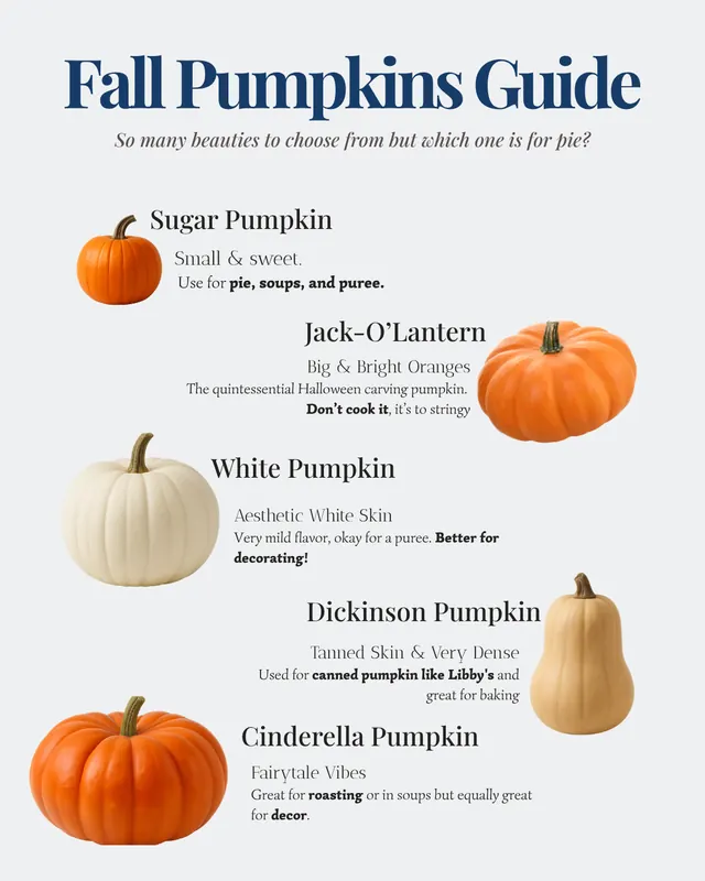 Which one? Sugar Pumpkin or Carving Pumpkin